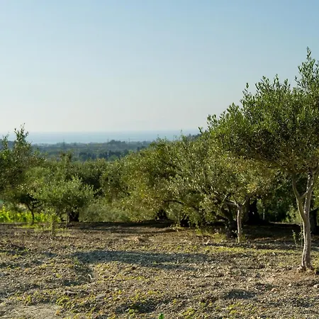 Tenuta Lacco