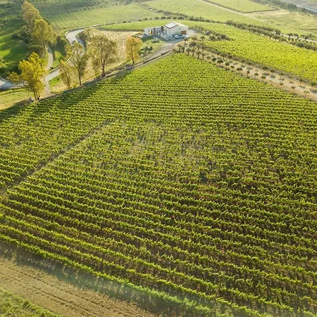 Tenuta Lacco * فورناري