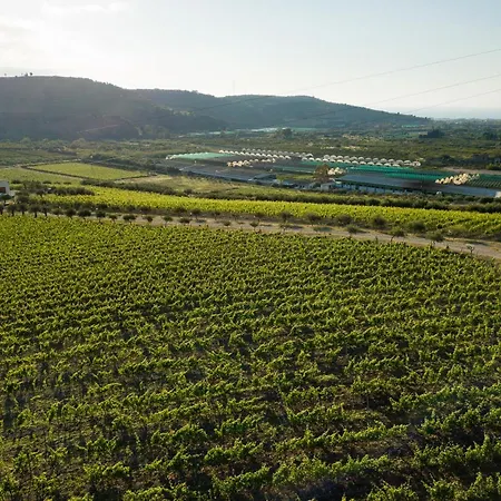 Tenuta Lacco