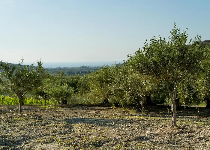 Tenuta Lacco