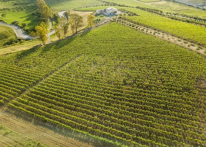 Tenuta Lacco * فورناري