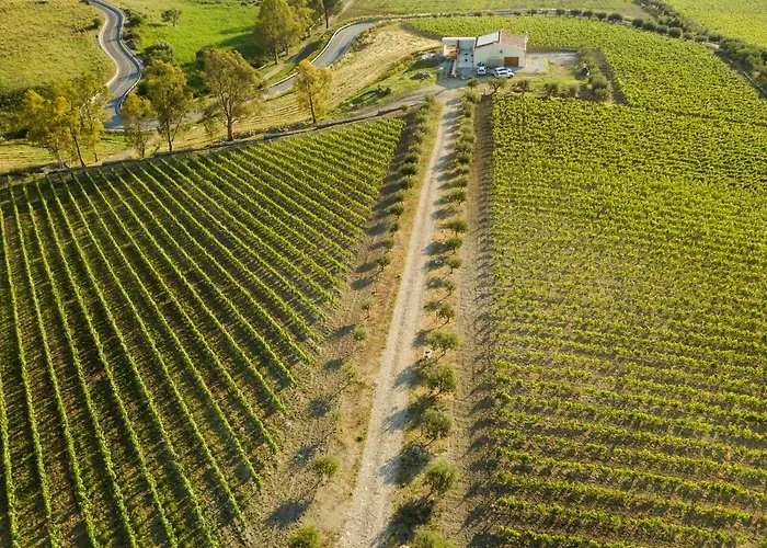 Tenuta Lacco